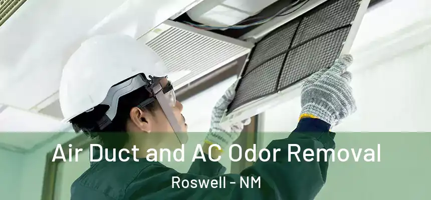  Air Duct and AC Odor Removal Roswell - NM
