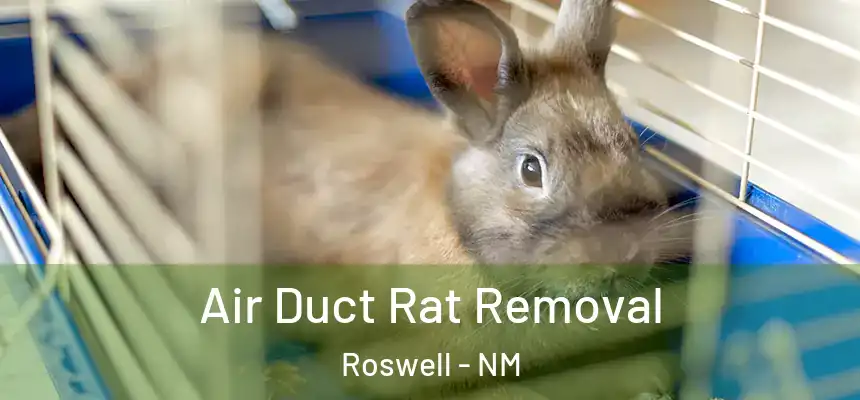 Air Duct Rat Removal Roswell - NM