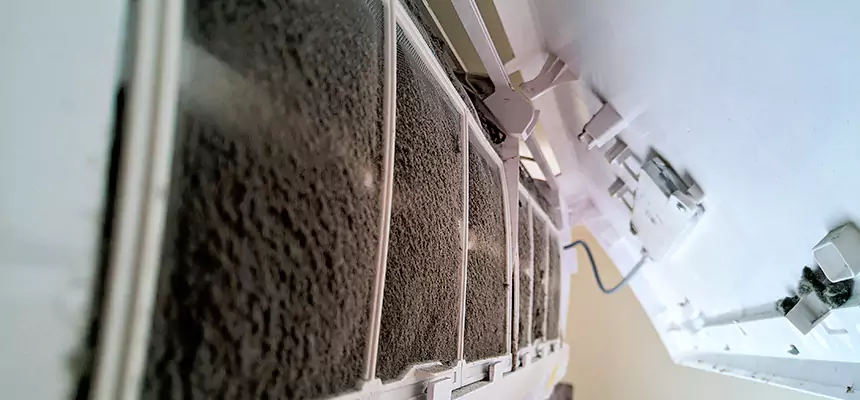 Preventive Air Duct Bacteria Removal in Roswell