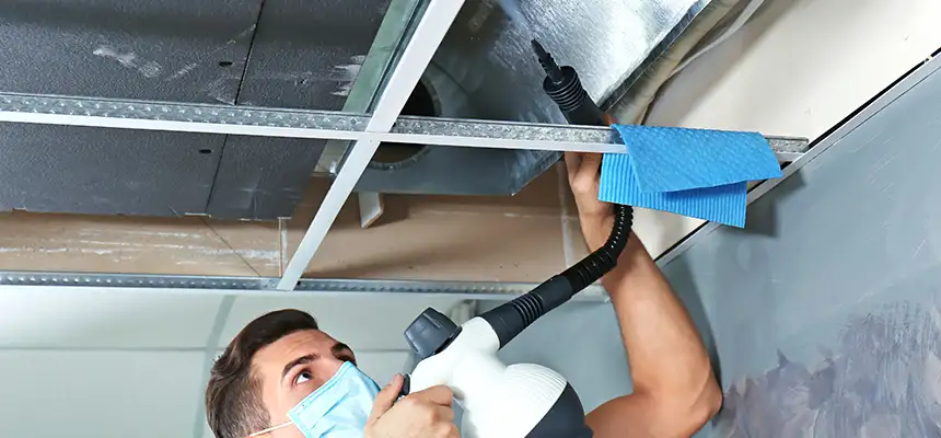 Our Air Duct Rodent Removal Services in Roswell, NM