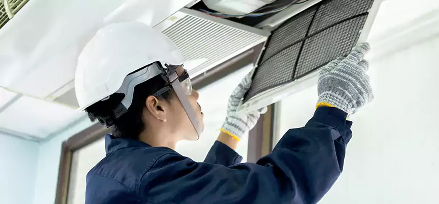 Our Mold & Mildew Removal from Air Ducts Services in Roswell, NM