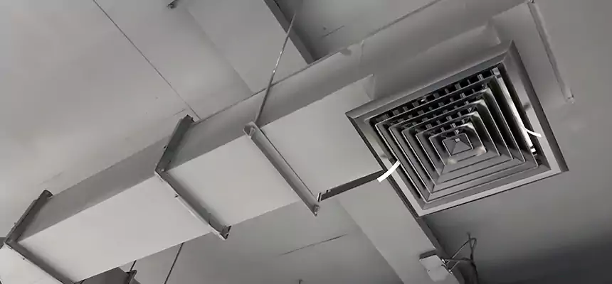 Our Rodent Droppings In Vents Services in Roswell, NM