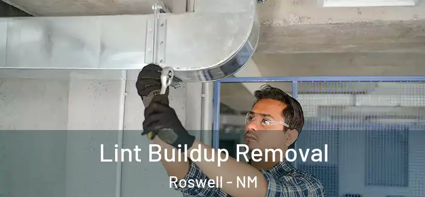  Lint Buildup Removal Roswell - NM