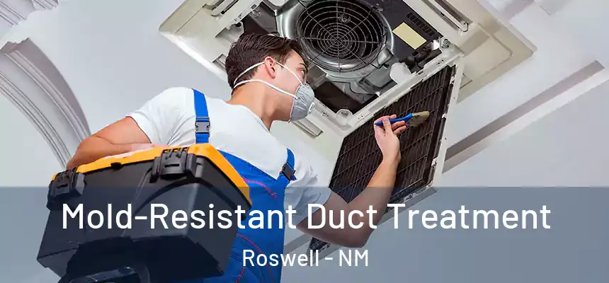  Mold-Resistant Duct Treatment Roswell - NM