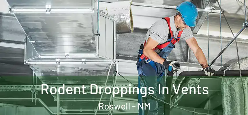  Rodent Droppings In Vents Roswell - NM