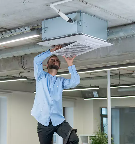 Advanced Rodent Droppings In Vents in Roswell, NM
