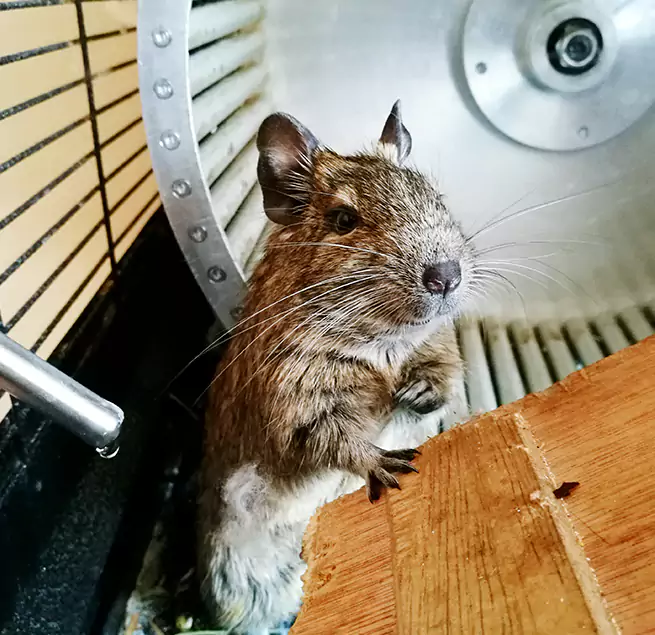 Why Homeowners & Businesses Trust Us Roswell, NM